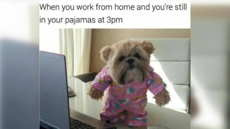 Work-from-Home-Memes